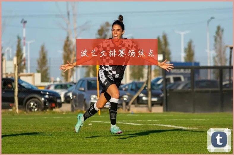 波兰女排赛场焦点