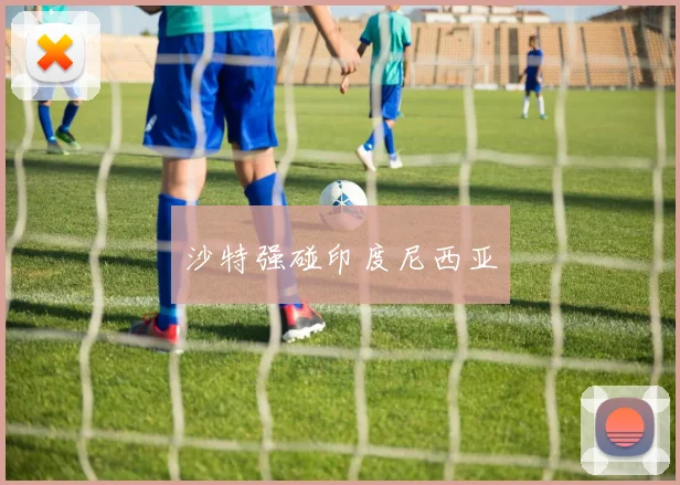 沙特强碰印度尼西亚