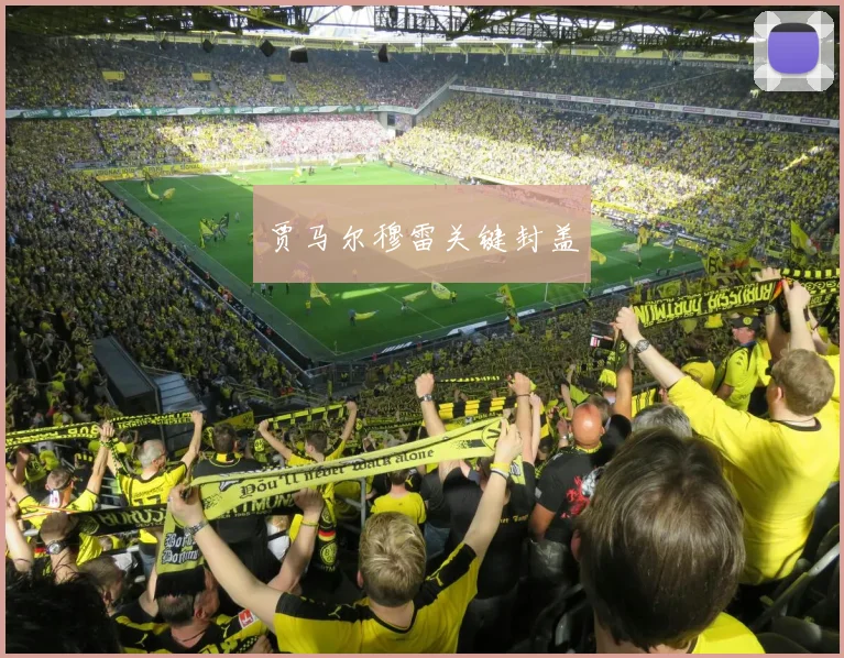 贾马尔穆雷关键封盖