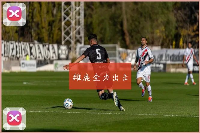 雄鹿全力出击