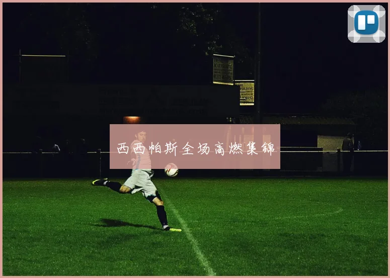 西西帕斯全场高燃集锦
