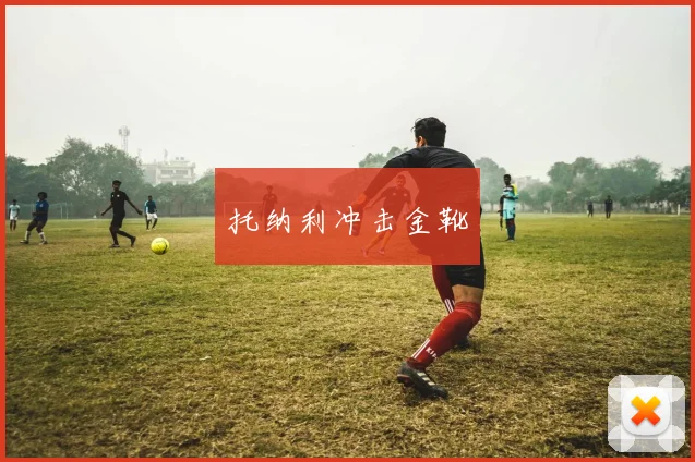 托纳利冲击金靴