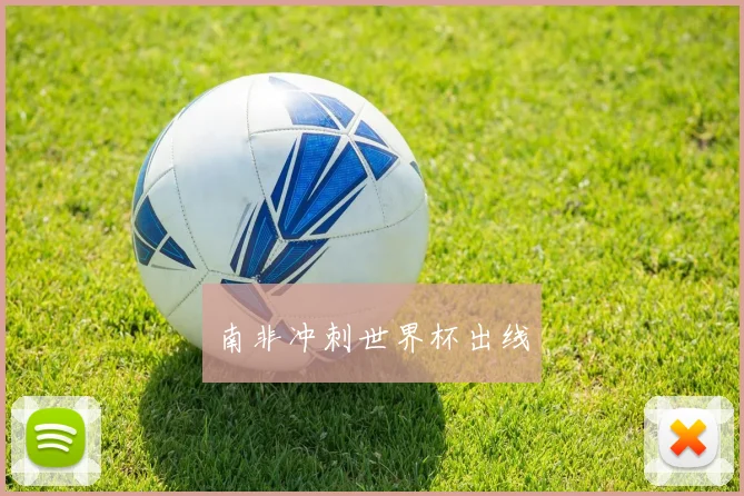 南非冲刺世界杯出线