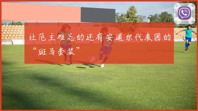 让范主难忘的还有安道尔代表团的“斑马套装”