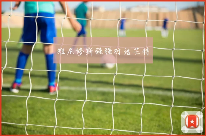 维尼修斯强强对话芒特