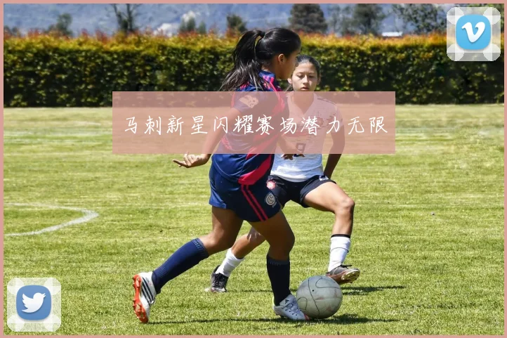 马刺新星闪耀赛场潜力无限