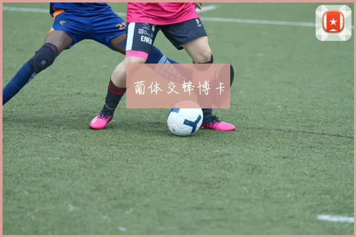 葡体交锋博卡