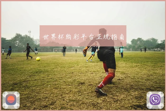 世界杯购彩平台正规指南