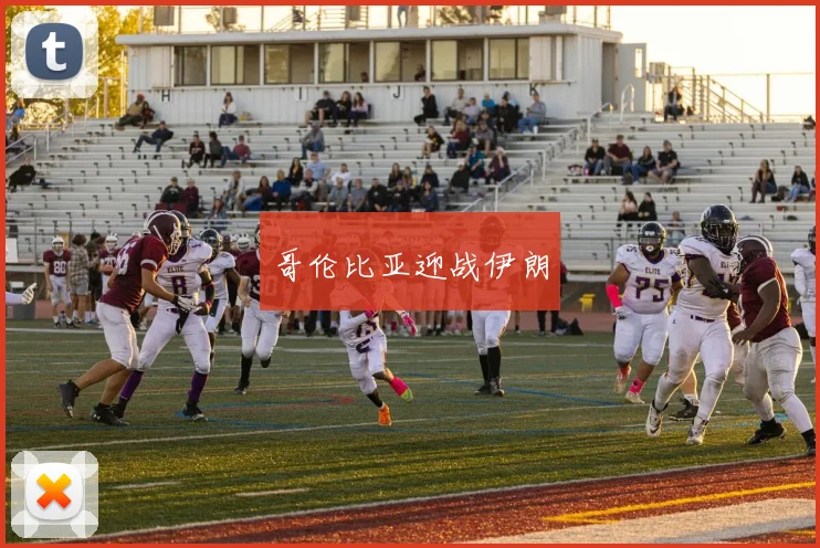 哥伦比亚迎战伊朗