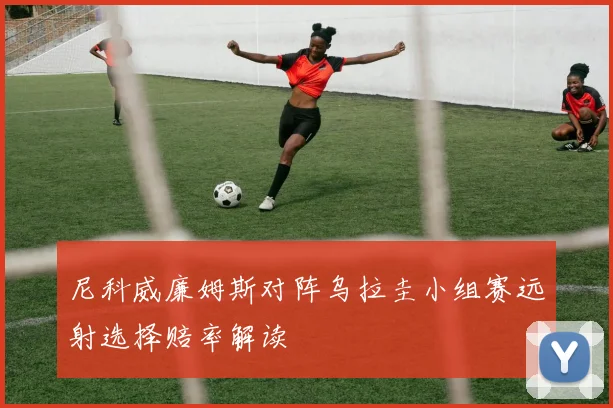 尼科威廉姆斯对阵乌拉圭小组赛远射选择赔率解读